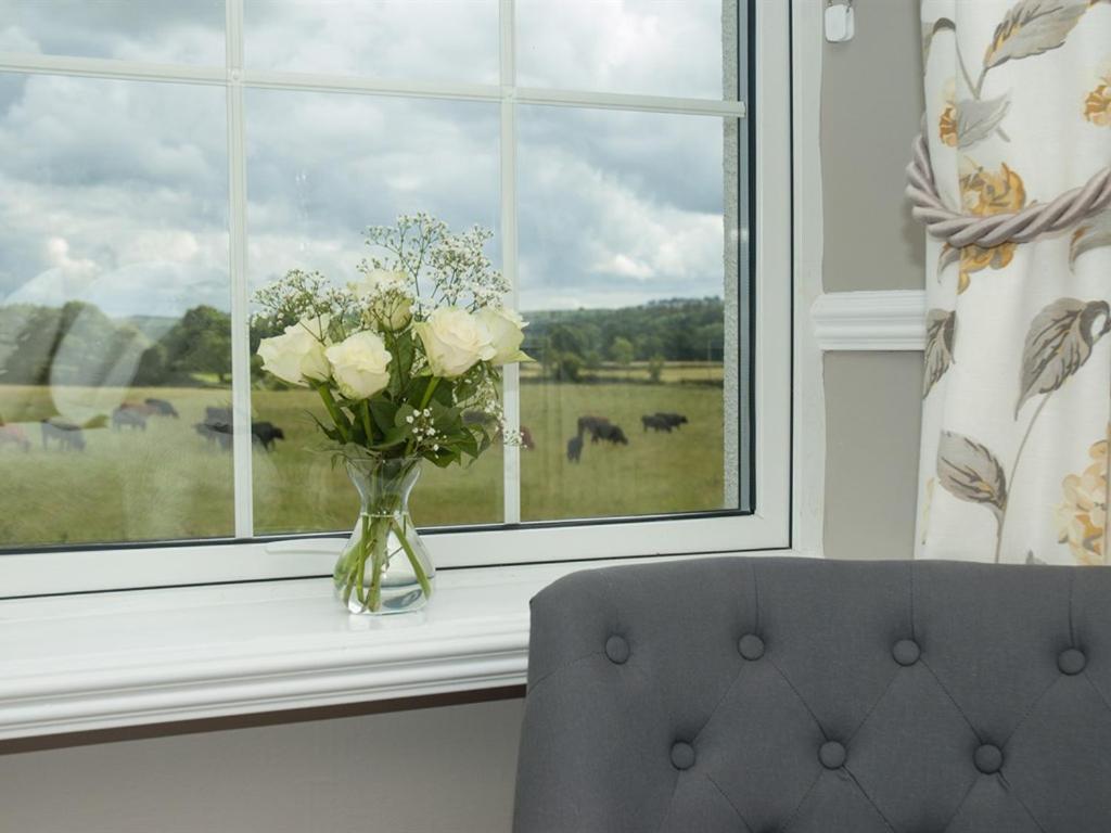 Poole Farm Bed and Breakfast Launceston Værelse billede